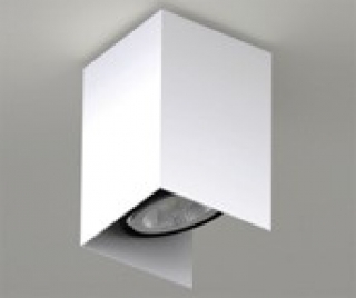 ERIS